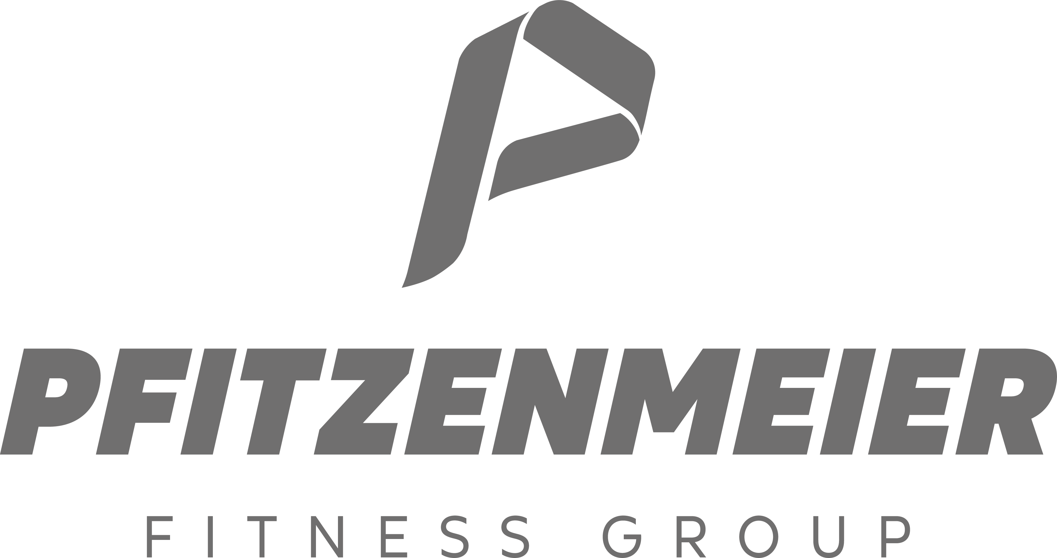 Pfitzenmeier Group Logo